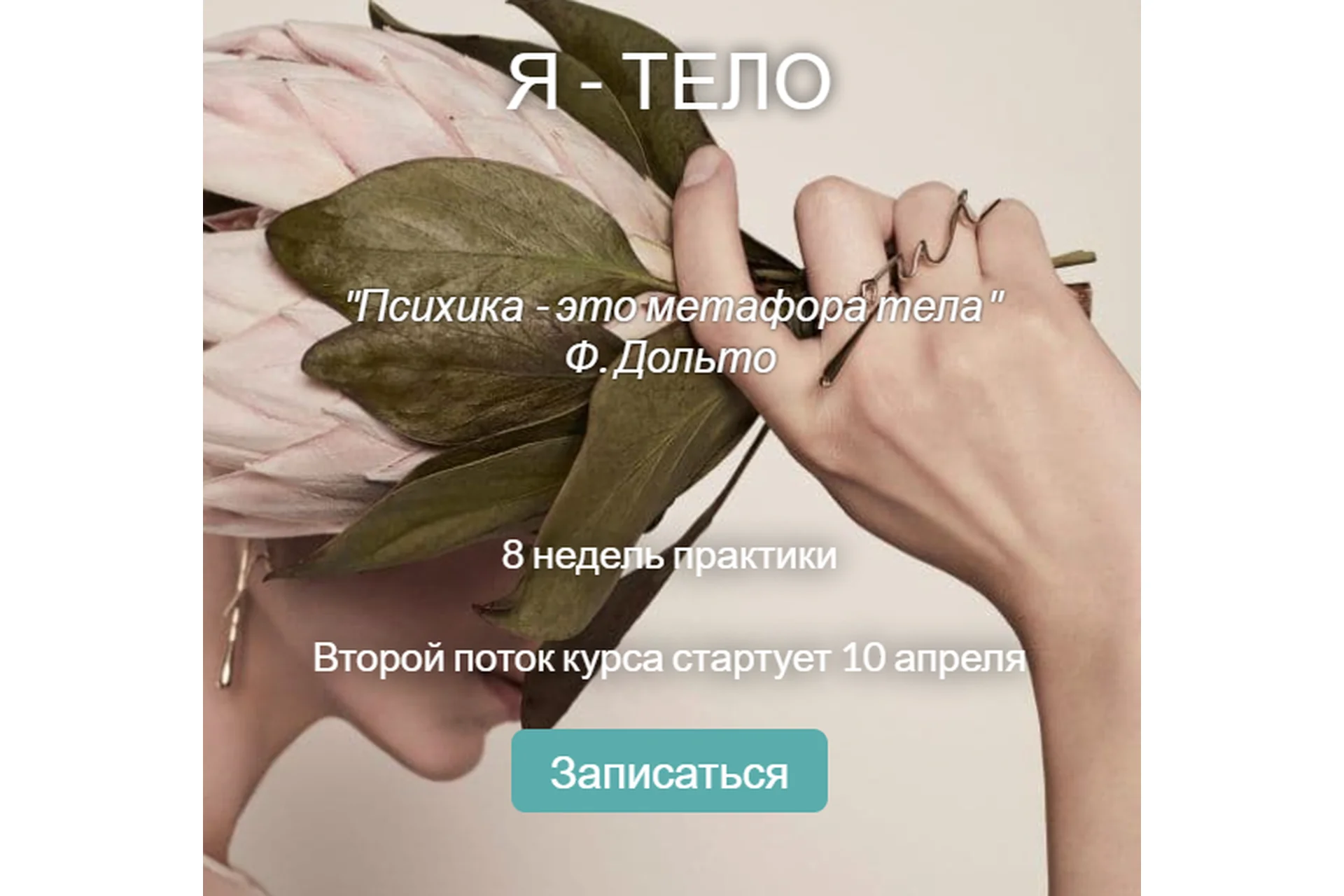 [MindFocus] Я - тело. Поток 2 (Катерина Суратова), фото 1 из 1.