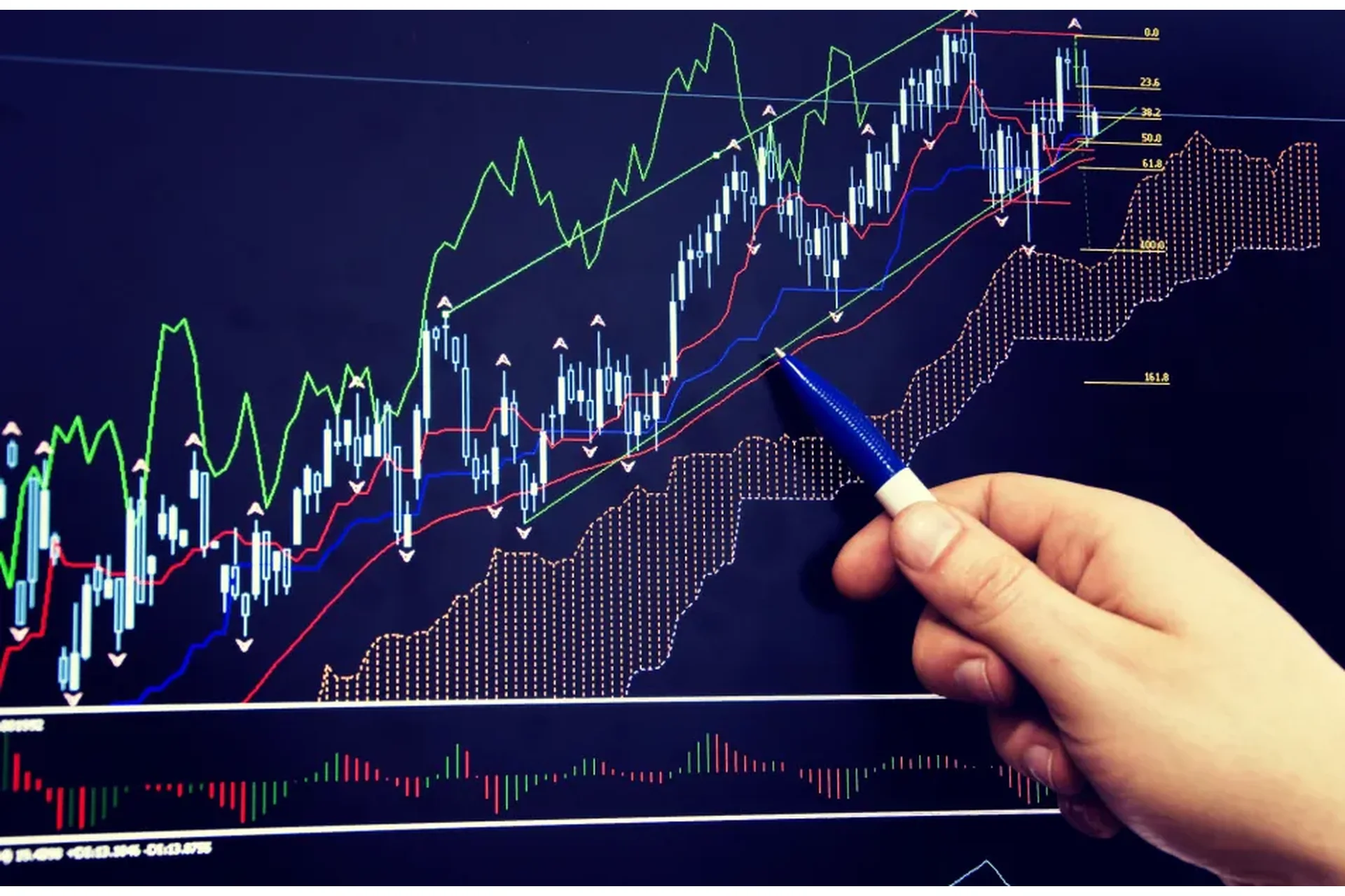 Полная торговая стратегия за 5 уроков (Екатерина Туманова), фото 1 из 1.