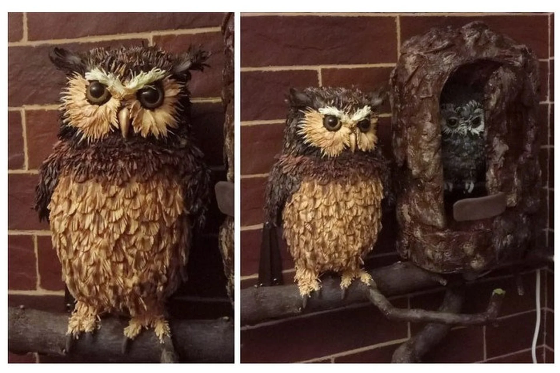 Сова (Татьяна Шмелева), фото 1 из 1.