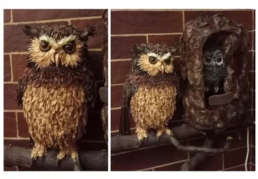 Сова (Татьяна Шмелева)