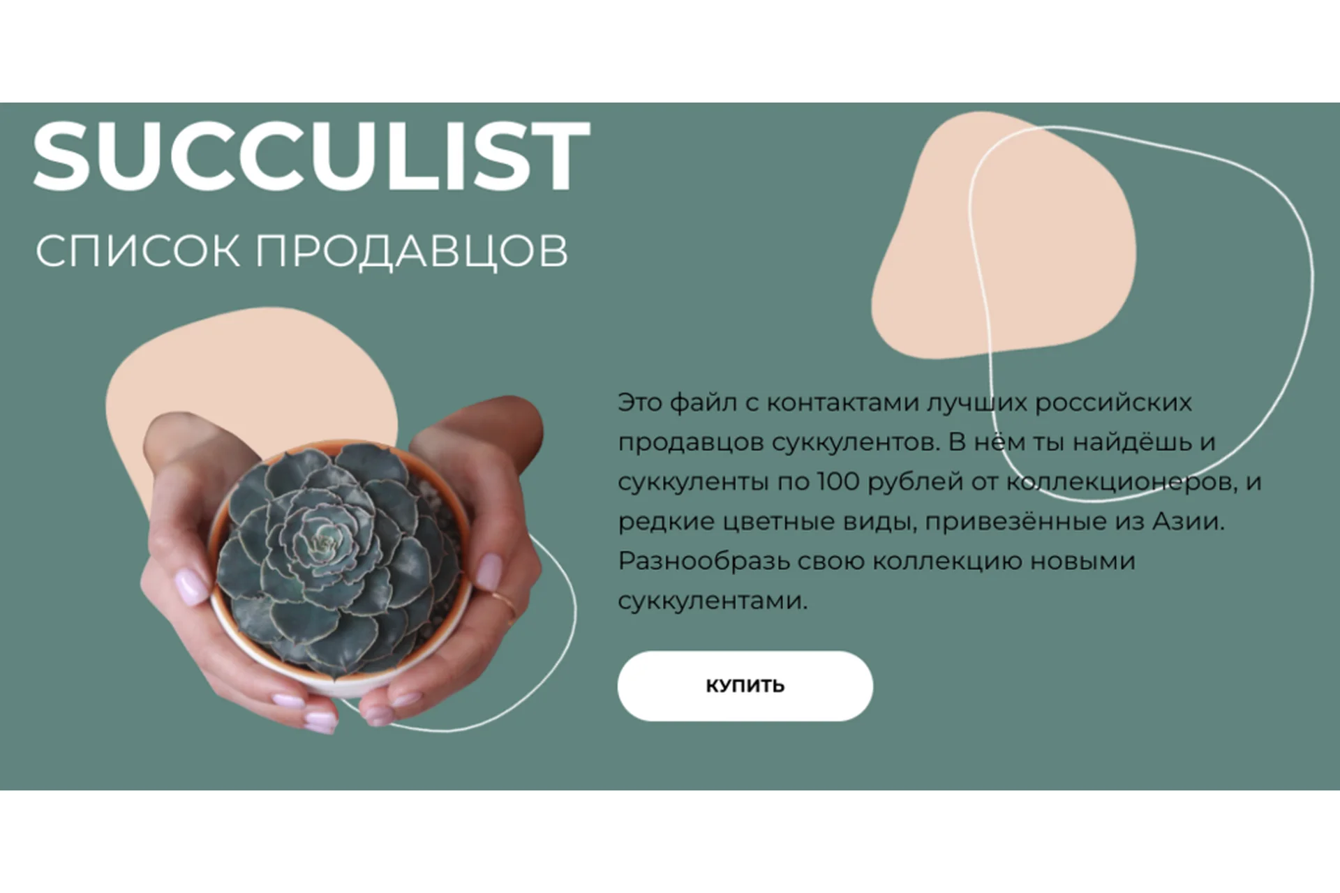 Succulist список продавцов (succulents_one_love), фото 1 из 1.