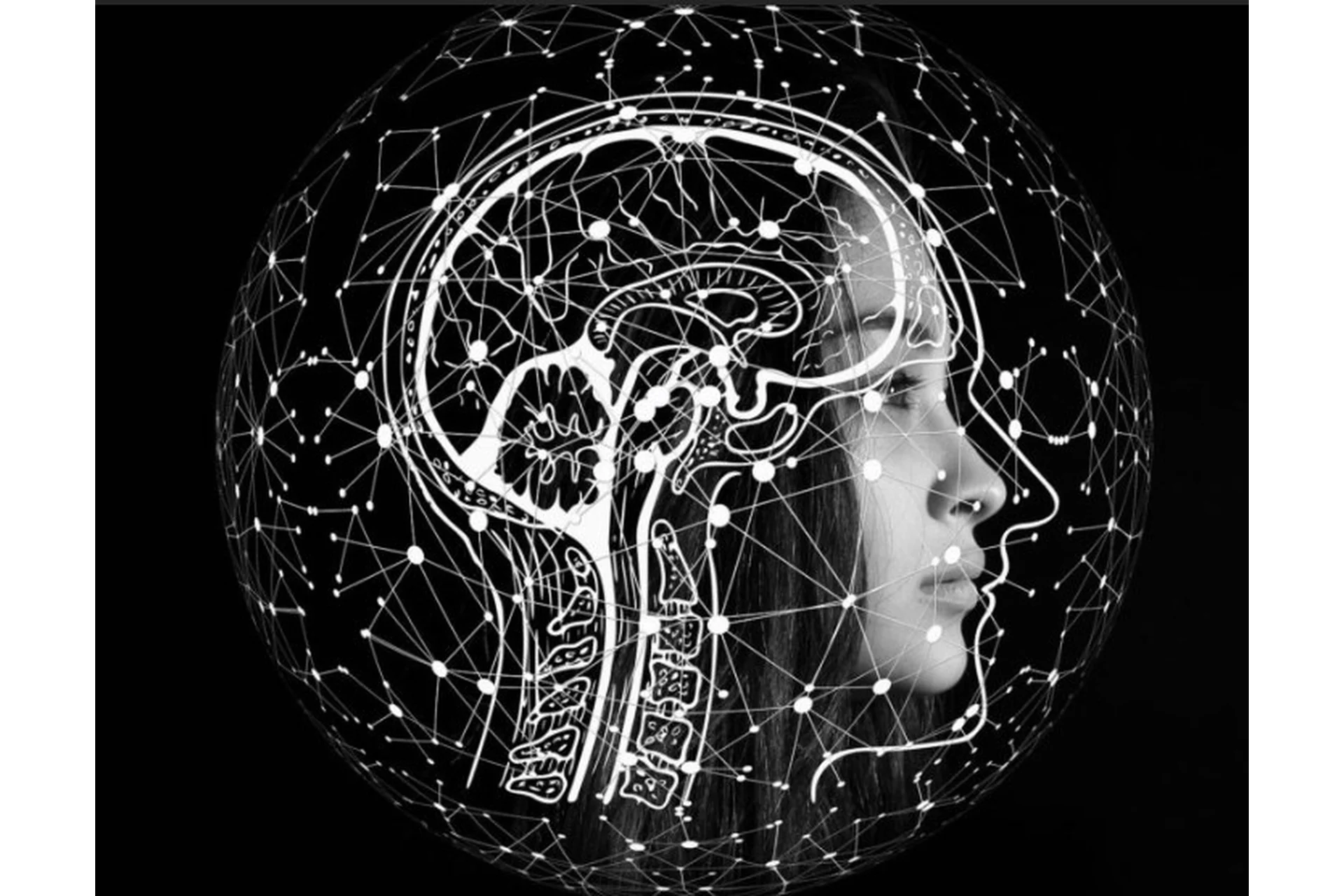 [Архэ] Мозг человека: основные функции (Вячеслав Дубынин), фото 1 из 1.