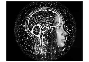 [Архэ] Мозг человека: основные функции (Вячеслав Дубынин)
