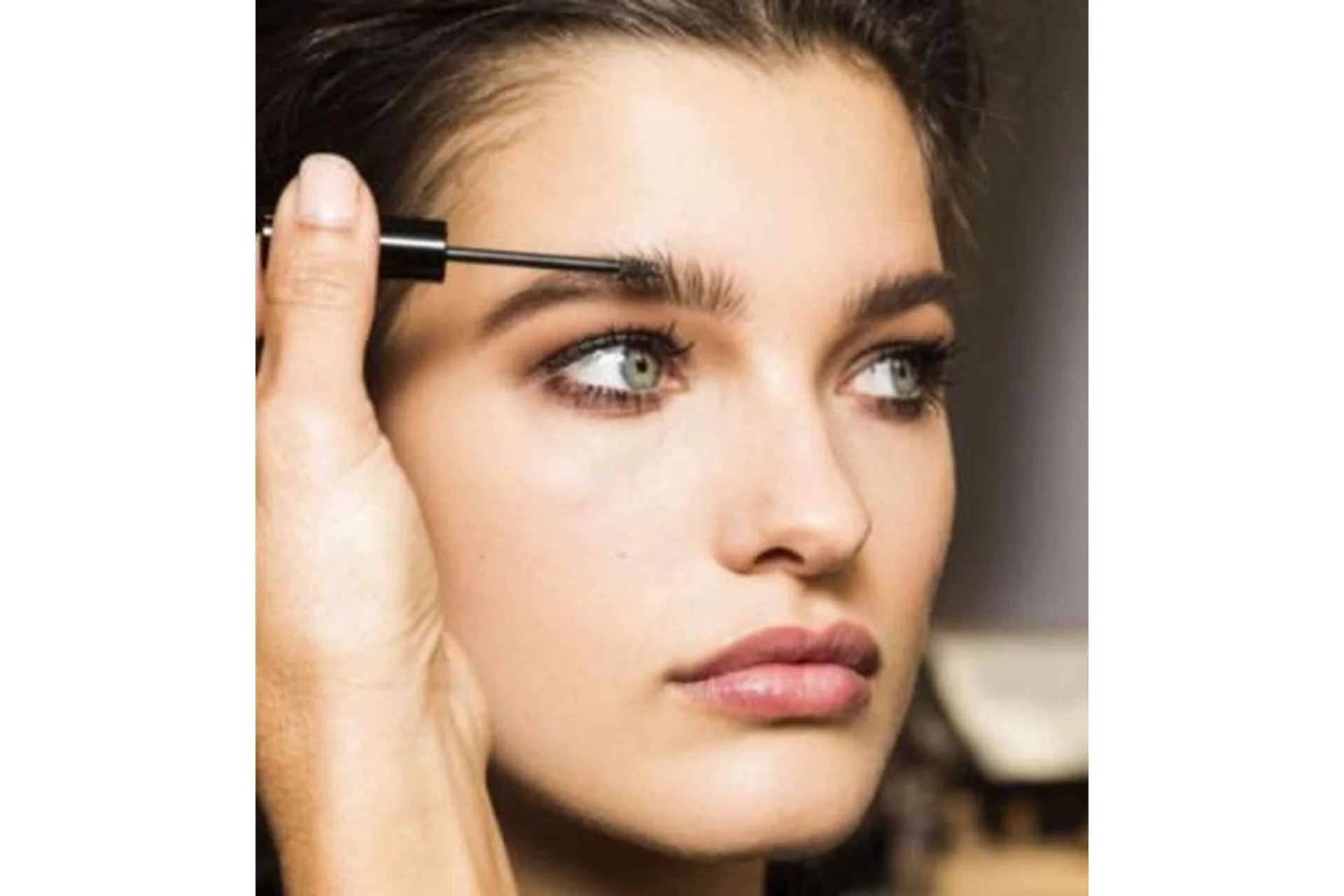 Архитектура бровей, колористика (Анна Парфенова), фото 1 из 1.