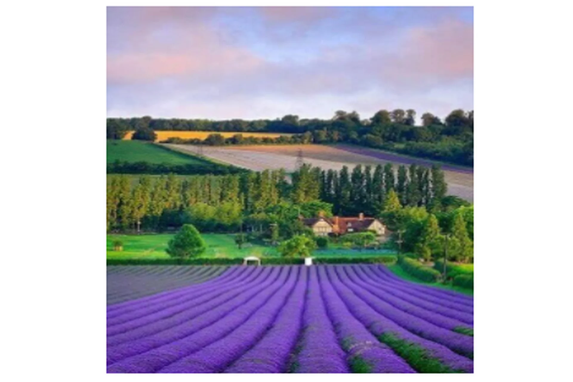 Мужское и Женское Здоровье (Ульвия Голденбрук), фото 1 из 1.