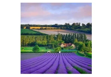 Мужское и Женское Здоровье (Ульвия Голденбрук)