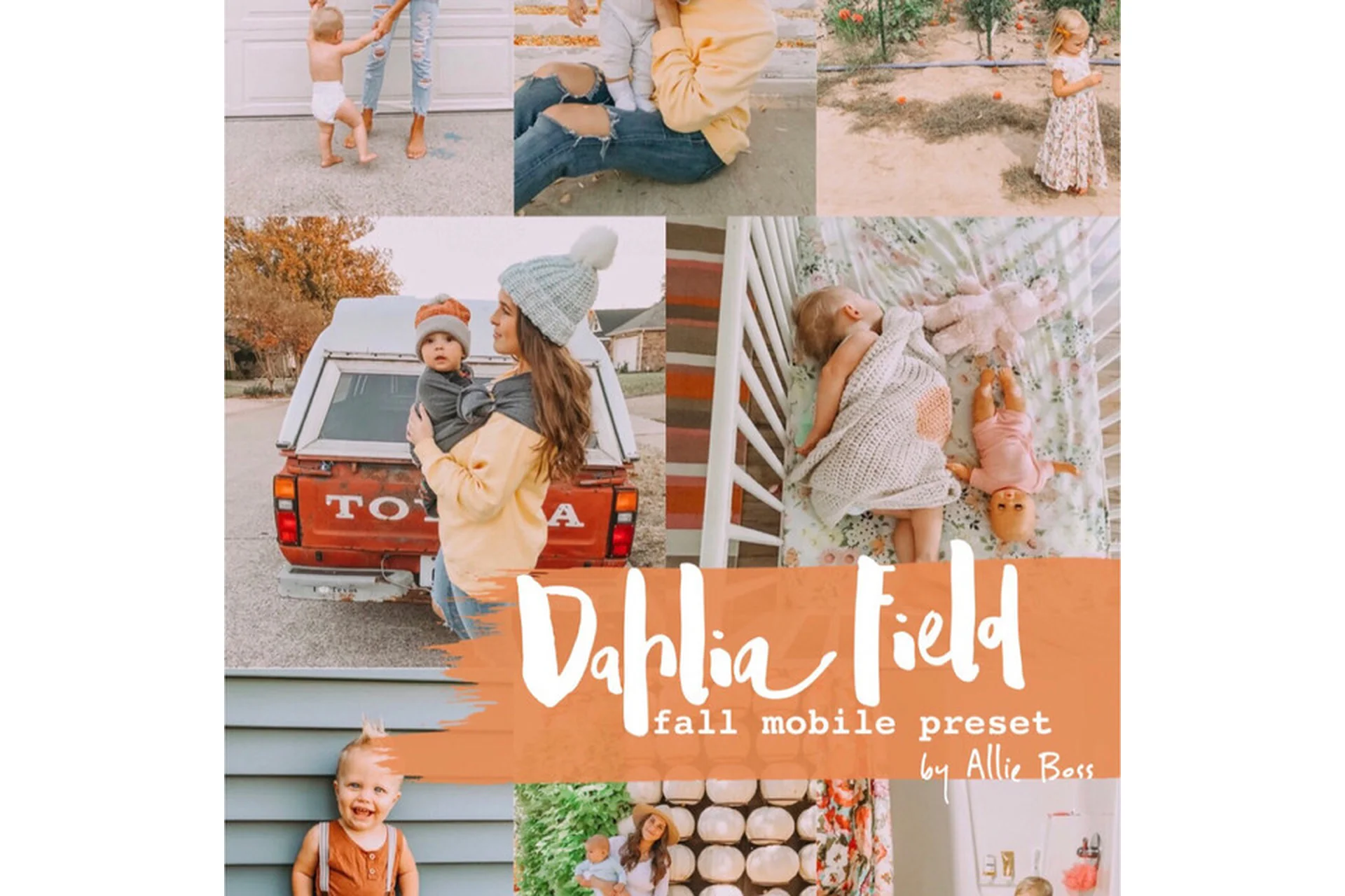 Теплые Пресеты для Семейной съемки Dahlia Field Lightroom Mobile Preset, DNG (Dahlia Field), фото 1 из 1.