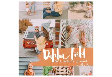 Теплые Пресеты для Семейной съемки Dahlia Field Lightroom Mobile Preset, DNG (Dahlia Field)