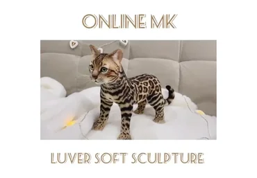 Бенгальский котёнок в смешанной технике (Вера Перминова, Любовь Смирнова)