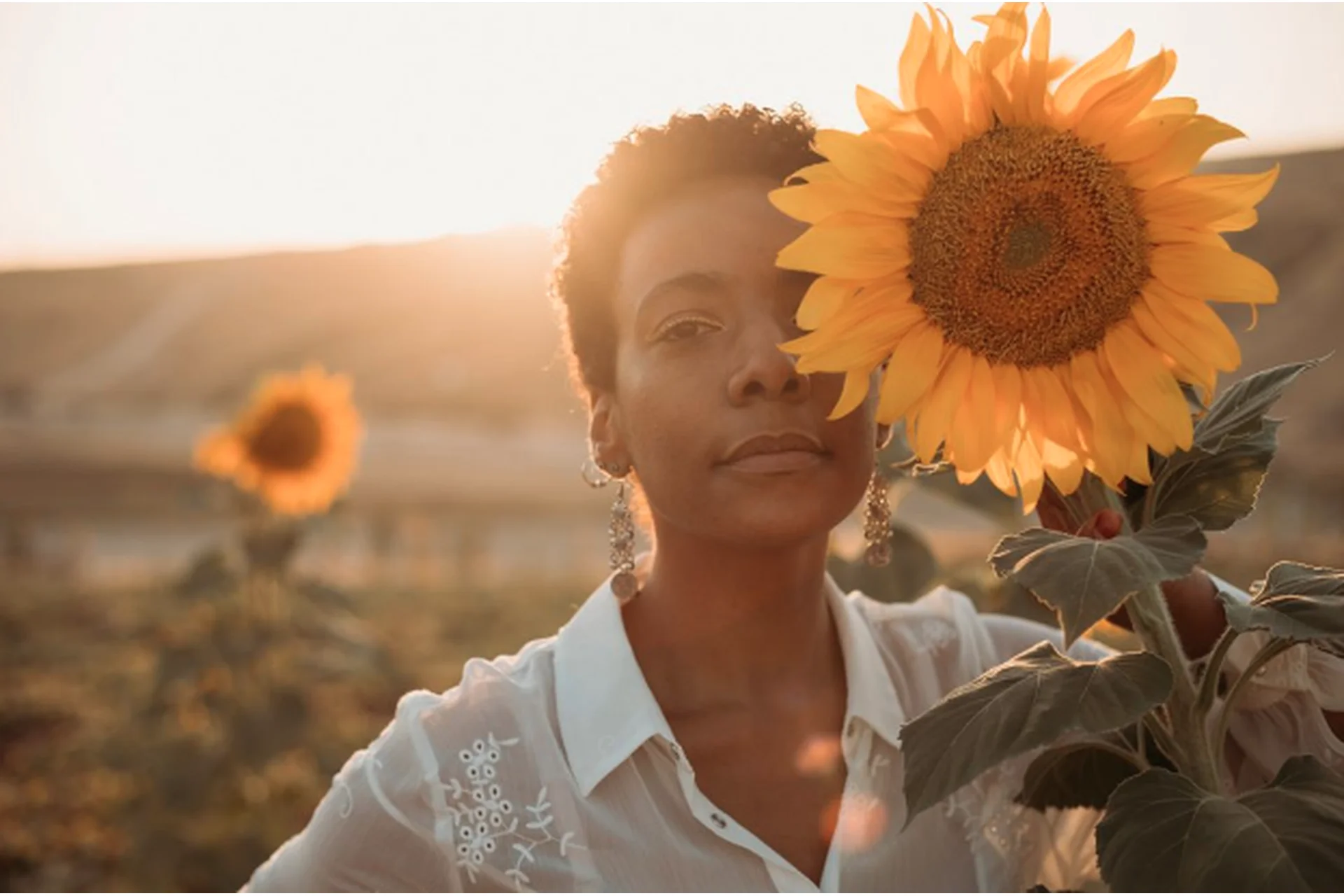 [Meridian Presets] Классные солнечные пресеты. Meridian Terra Desktop (Jyo Bhamidipati), фото 1 из 1.