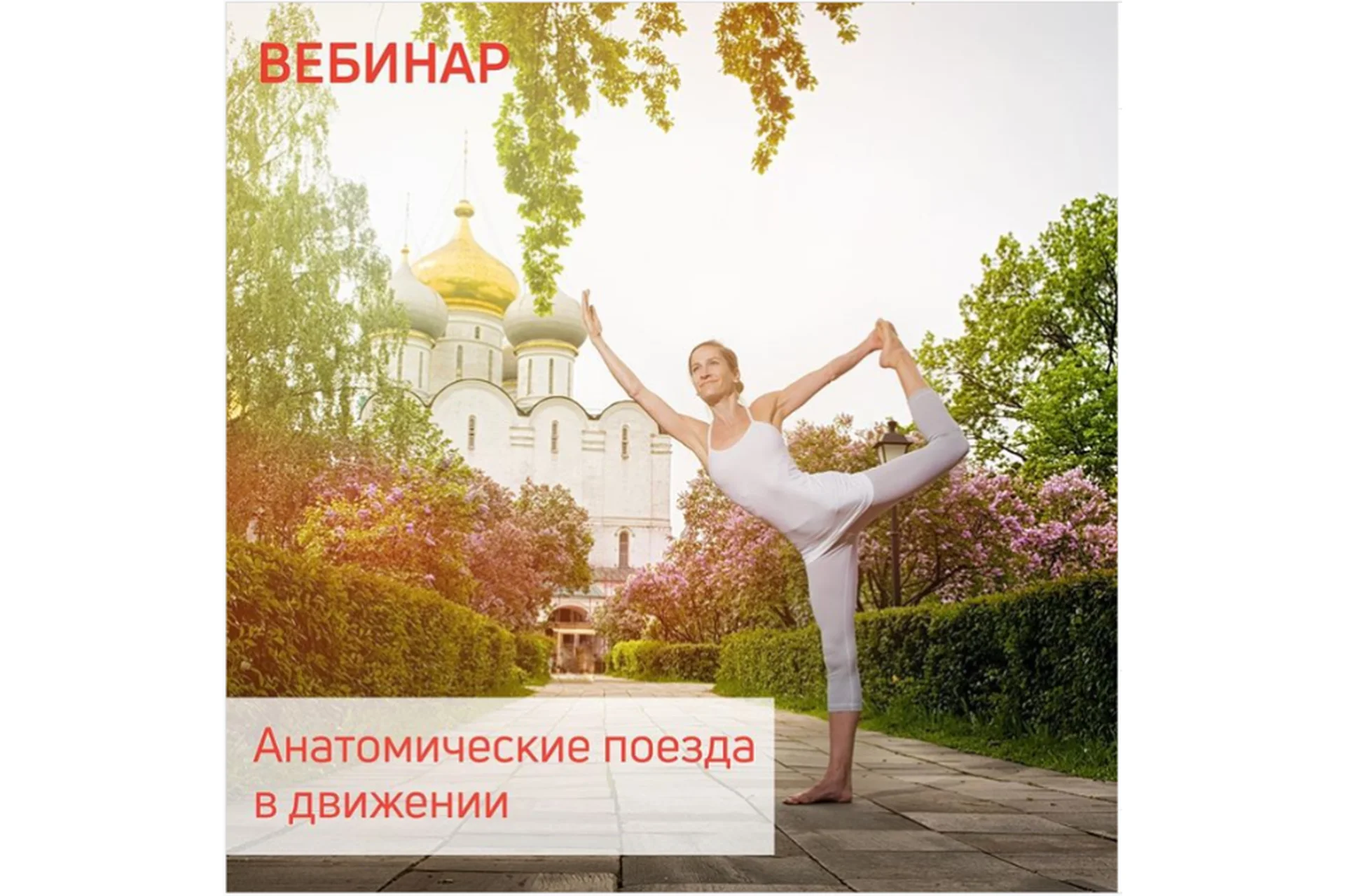 [Центр Практика]  Анатомические поезда в движении (Александра Кибзий,  Анна Селиверстова), фото 1 из 1.