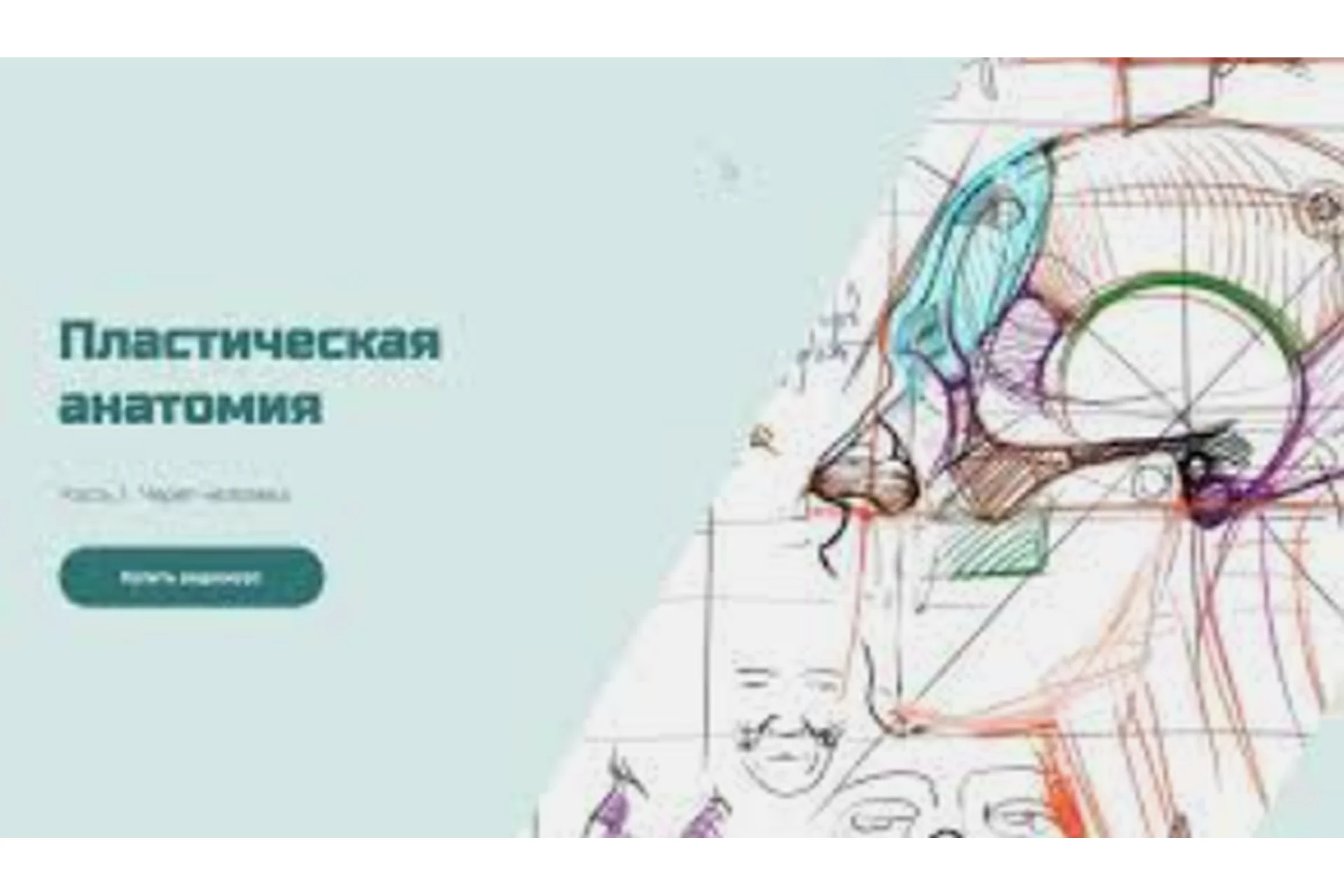 [KalachevaSchool] Пластическая анатомия (Александр Рыжкин), фото 1 из 1.