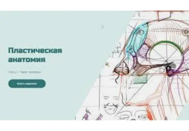 [KalachevaSchool] Пластическая анатомия (Александр Рыжкин)