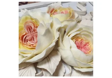 [Школа Руденских] Роза Остина (Дмитрий Руденский)