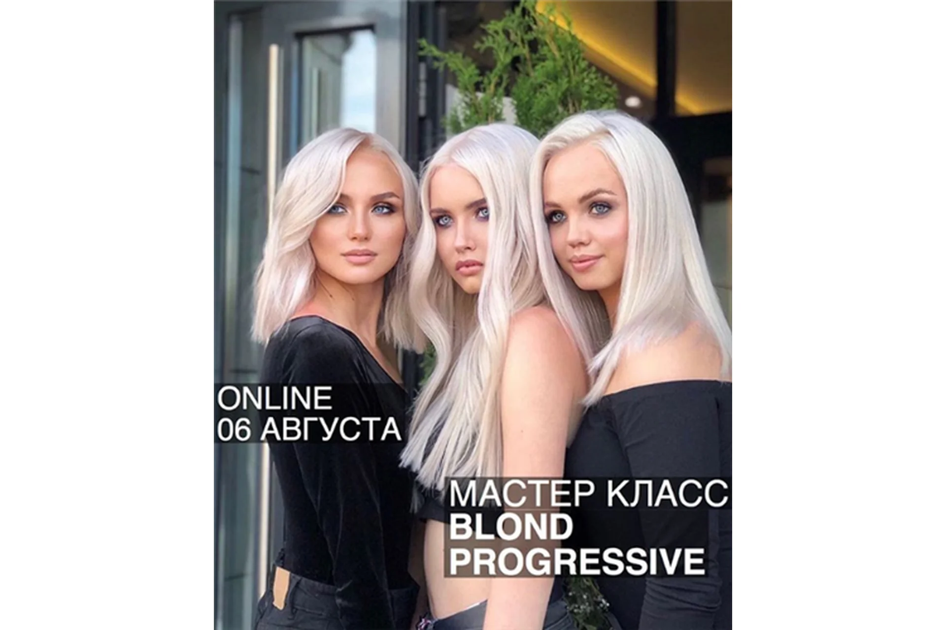 Blond Progressive (Ольга Дементьева), фото 1 из 1.