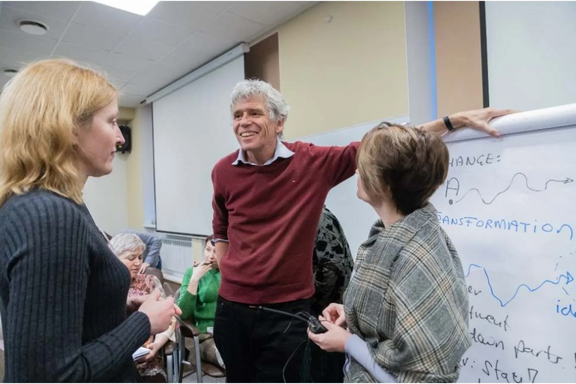 Лидерство и трансформация в организациях с точки зрения системного подхода (Ян Якоб Стам), фото 1 из 1.