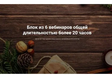 Блок из 6 вебинаров общей длительностью более 20 часов (Алексей Красиков)