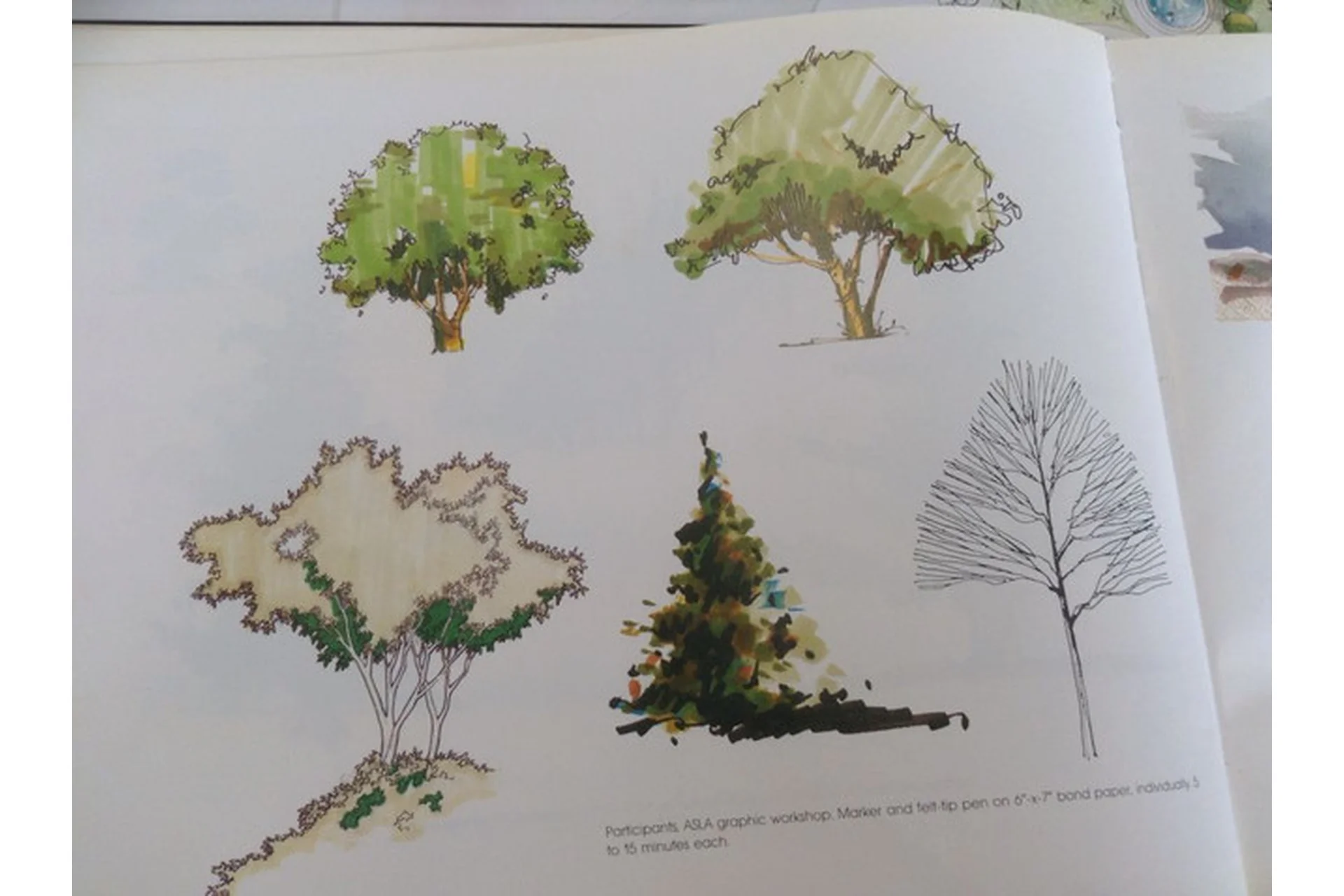 Лиственные деревья (Екатерина Като Иванникова), фото 1 из 1.