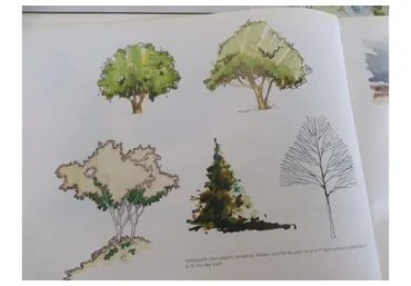 Лиственные деревья (Екатерина Като Иванникова)