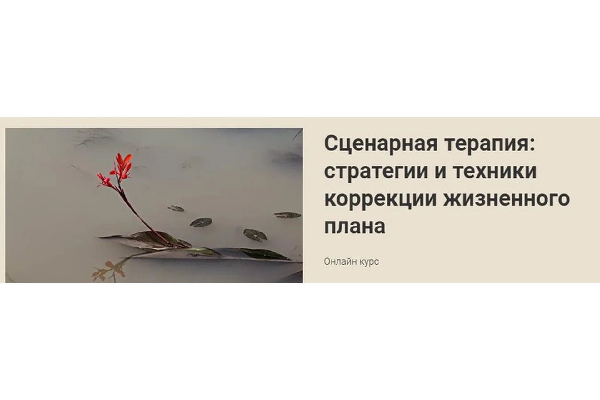 Сценарная терапия: стратегии и техники коррекции жизненного плана (Наталья Приймаченко), фото 1 из 1.