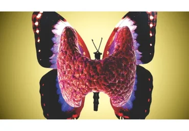 [Pro et Contra] Щитовидная железа, её роль в организме (Юлия Тишова)