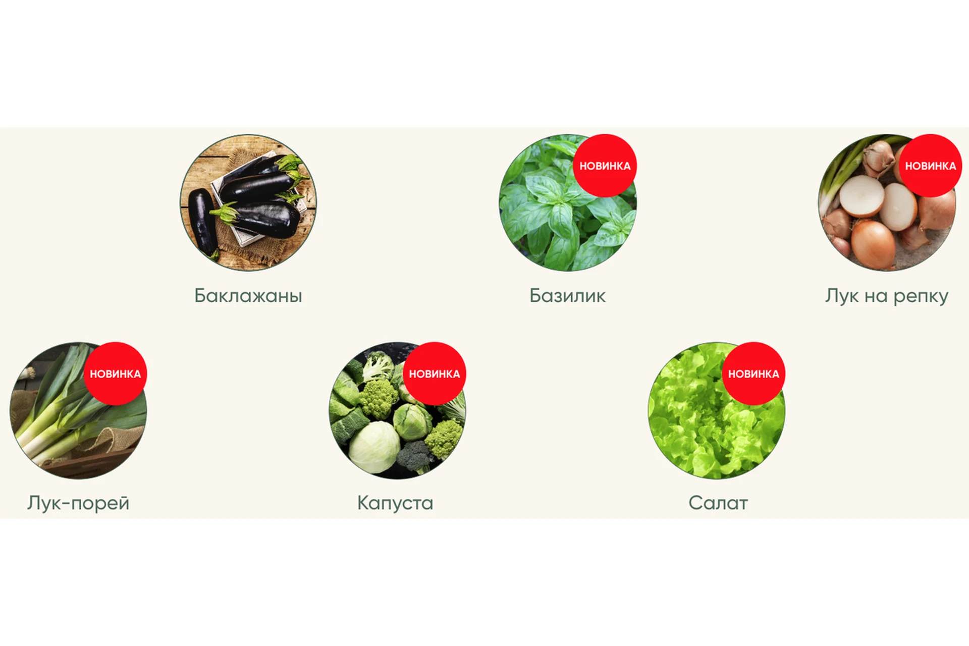 Рассада без досады. Овощная рассада. Новые культуры (Анна Акинина), фото 1 из 1.