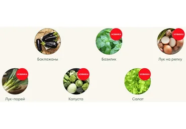 Рассада без досады. Овощная рассада. Новые культуры (Анна Акинина)