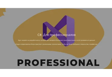[ЯЮНИОР] C#. Для профессионалов 2021 (Роман Сакутин)