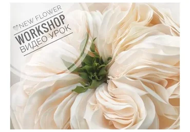 [Chloe_decor] Пионовидная роза сорт «Charity» (Влада)