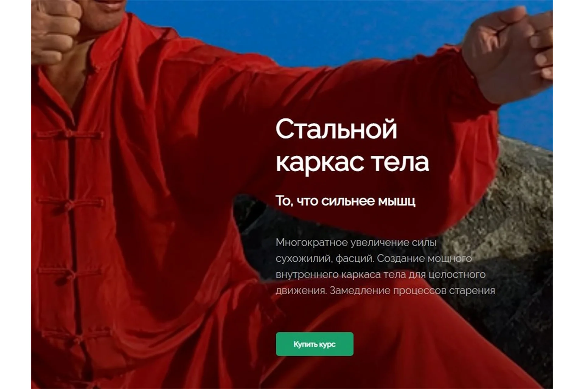 [Школа внутренней силы] Стальной каркас тела (Олег Дегтярев), фото 1 из 1.