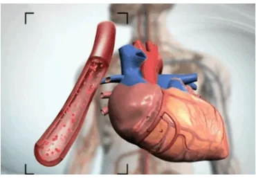Антистарение сердца и сосудов (Михаил Батин)