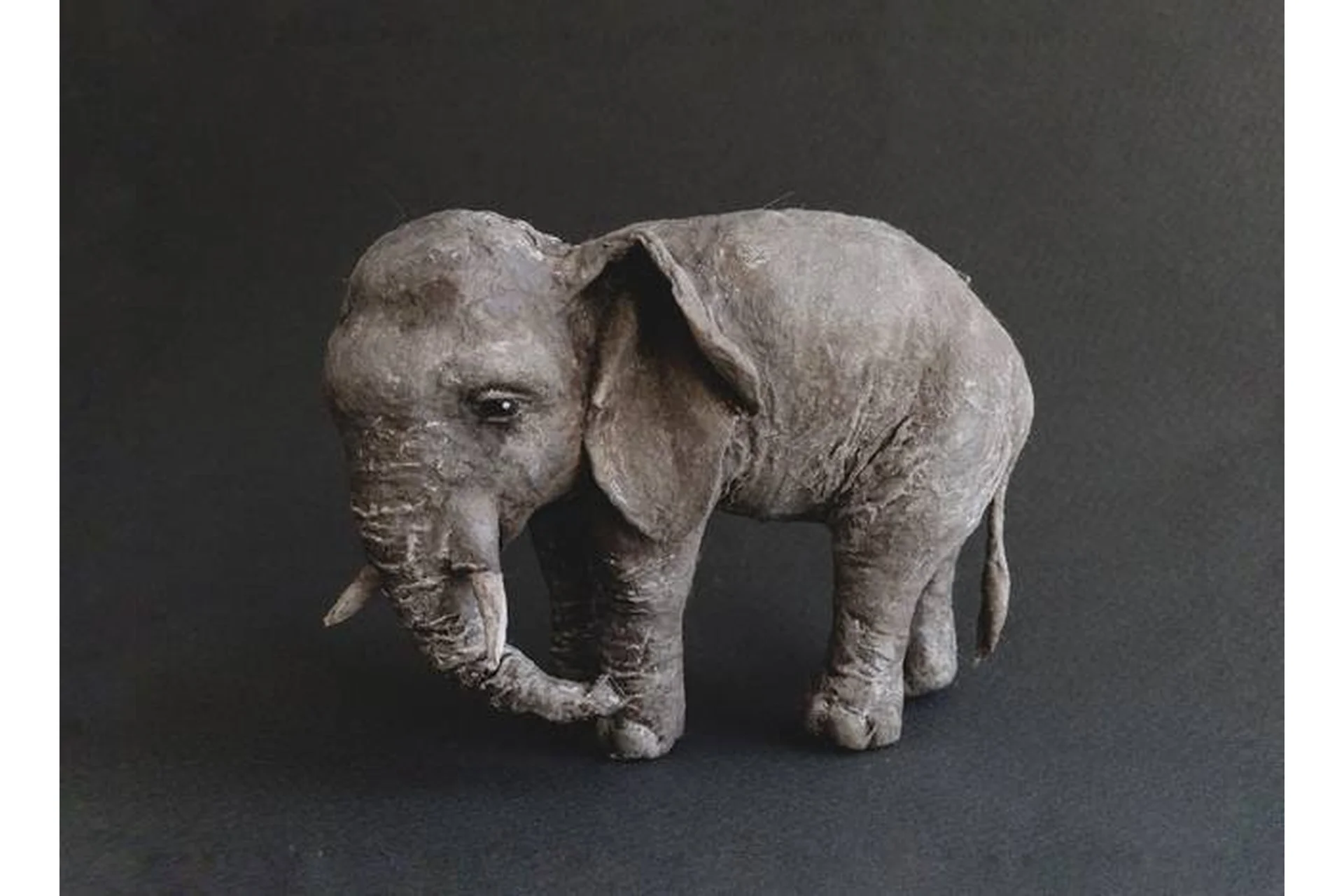 Слон (Ксения Решетникова), фото 1 из 1.