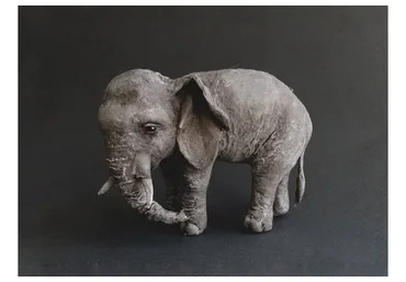 Слон (Ксения Решетникова)