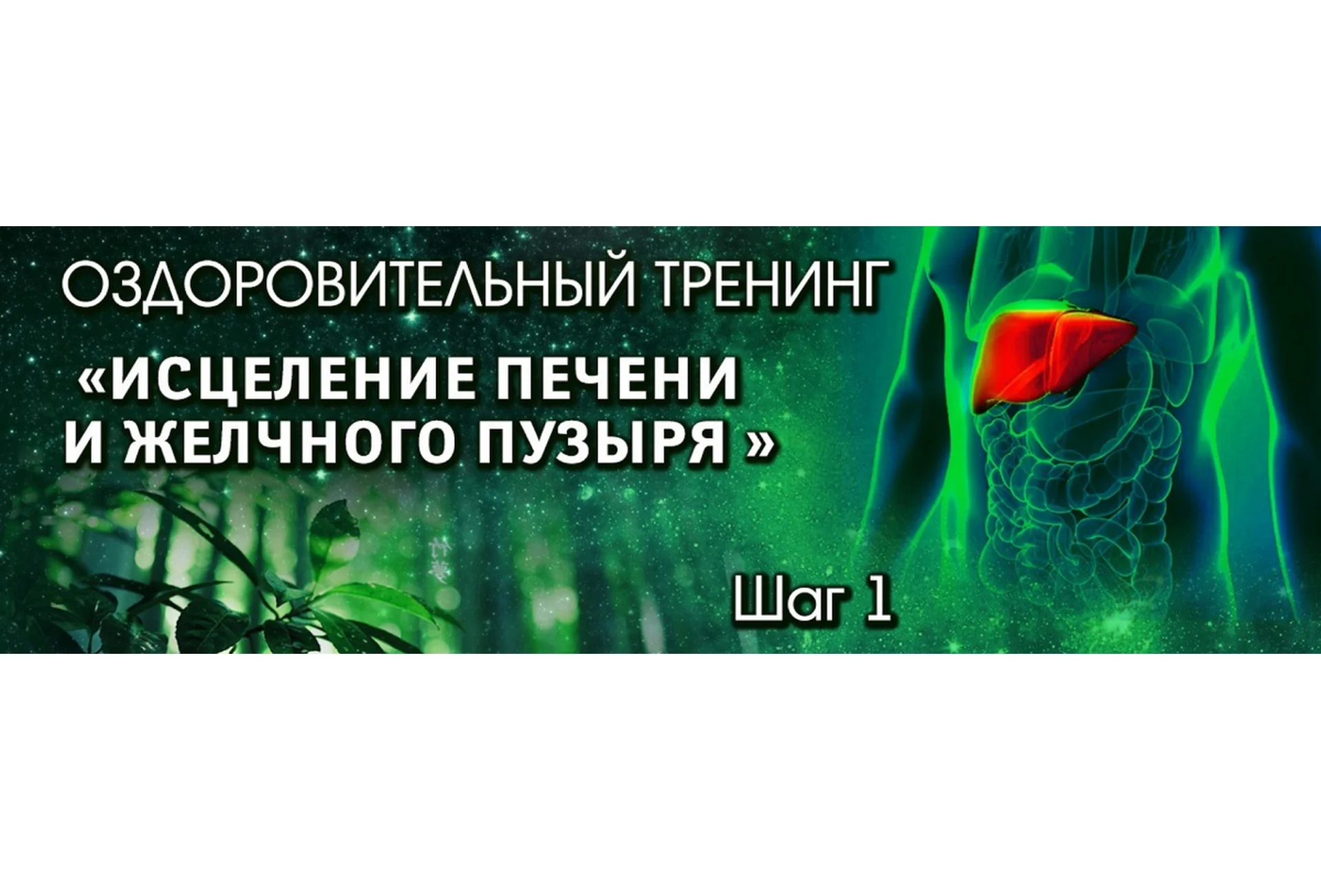 Тренинг "Стихия дерева". Шаг №1. Исцеление печени и желчного пузыря. Блок ВИП (Владимир Осипов), фото 1 из 1.