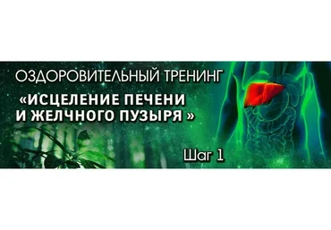 Тренинг "Стихия дерева". Шаг №1. Исцеление печени и желчного пузыря. Блок ВИП (Владимир Осипов)