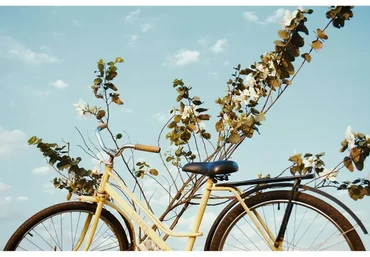 [Lutify] 3D LUTs Packages for Adobe Lightroom, 2018