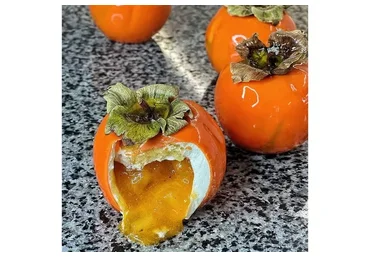 Новая программа «Новогодняя» (Юлия Беличенко)