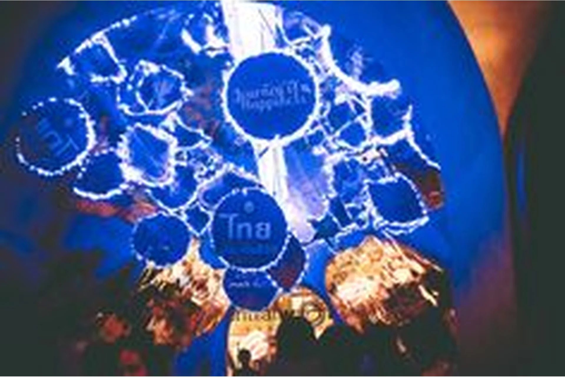 Блоггерские пресеты Lomo, 40шт, Lightroom (Morris Fayman), фото 1 из 1.