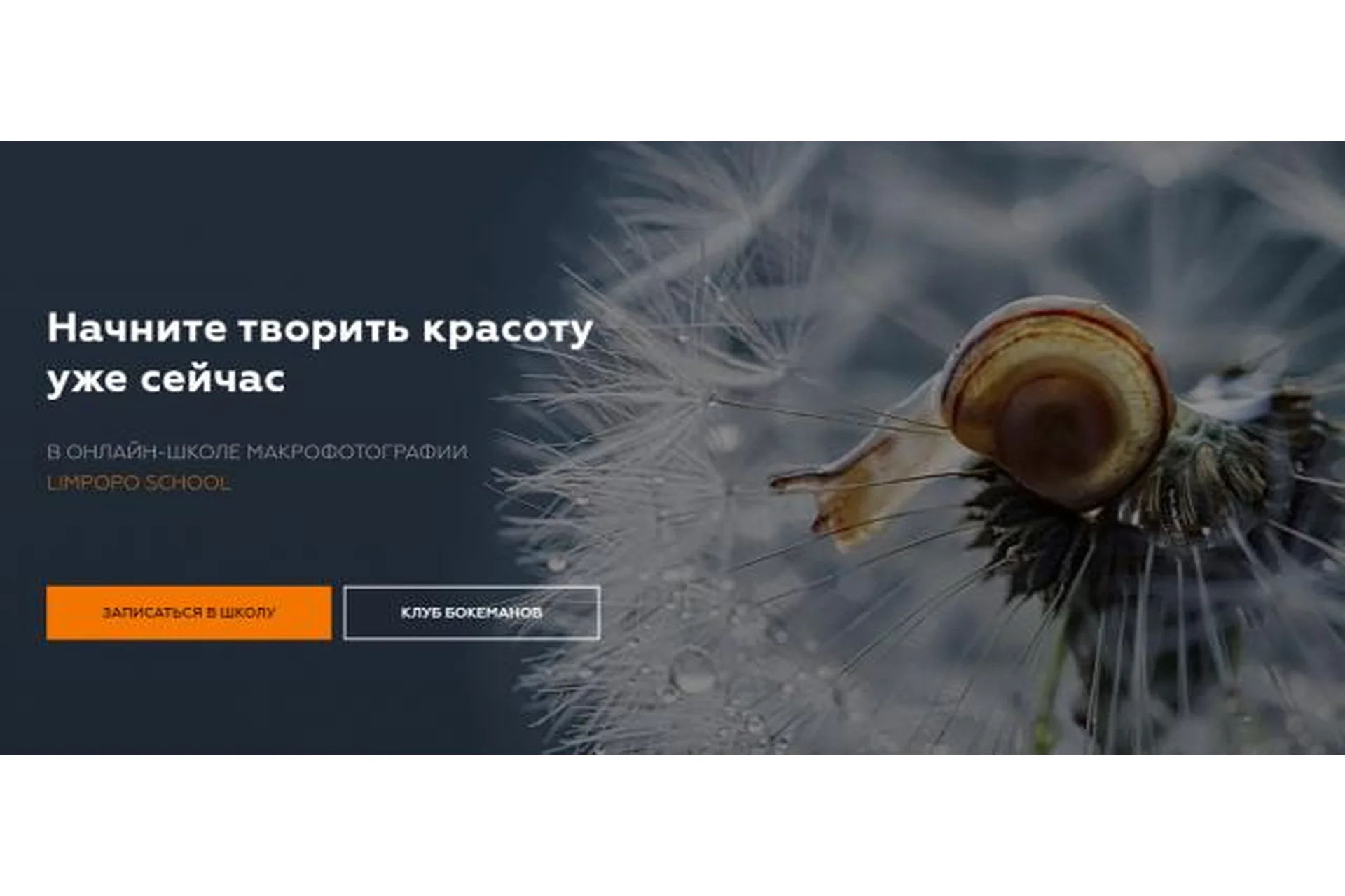 [Limpopo School] Макрофотография  (Полина Серова, Арсен Алабердов), фото 1 из 1.