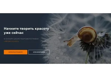 [Limpopo School] Макрофотография  (Полина Серова, Арсен Алабердов)