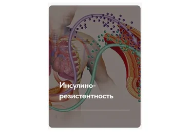 Лечебный протокол «Инсулинорезистентность». Тариф Без обратной связи (Елена Ержанова)