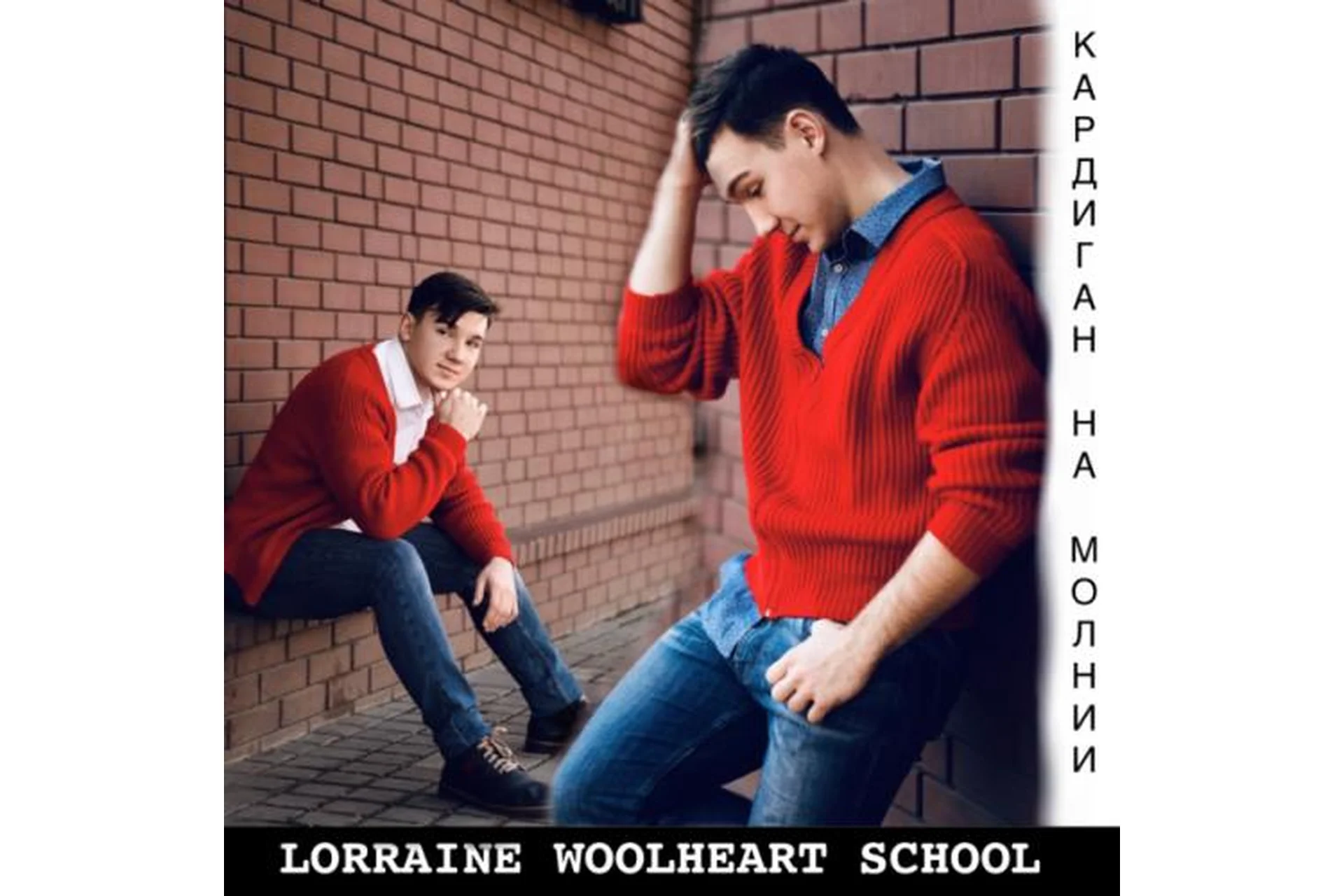 [lorraine_woolheart] Мужской кардиган на молнии (Лариса Берлизова), фото 1 из 1.