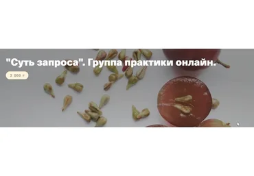 Суть запроса. Группа практики онлайн (Елена Веселаго)