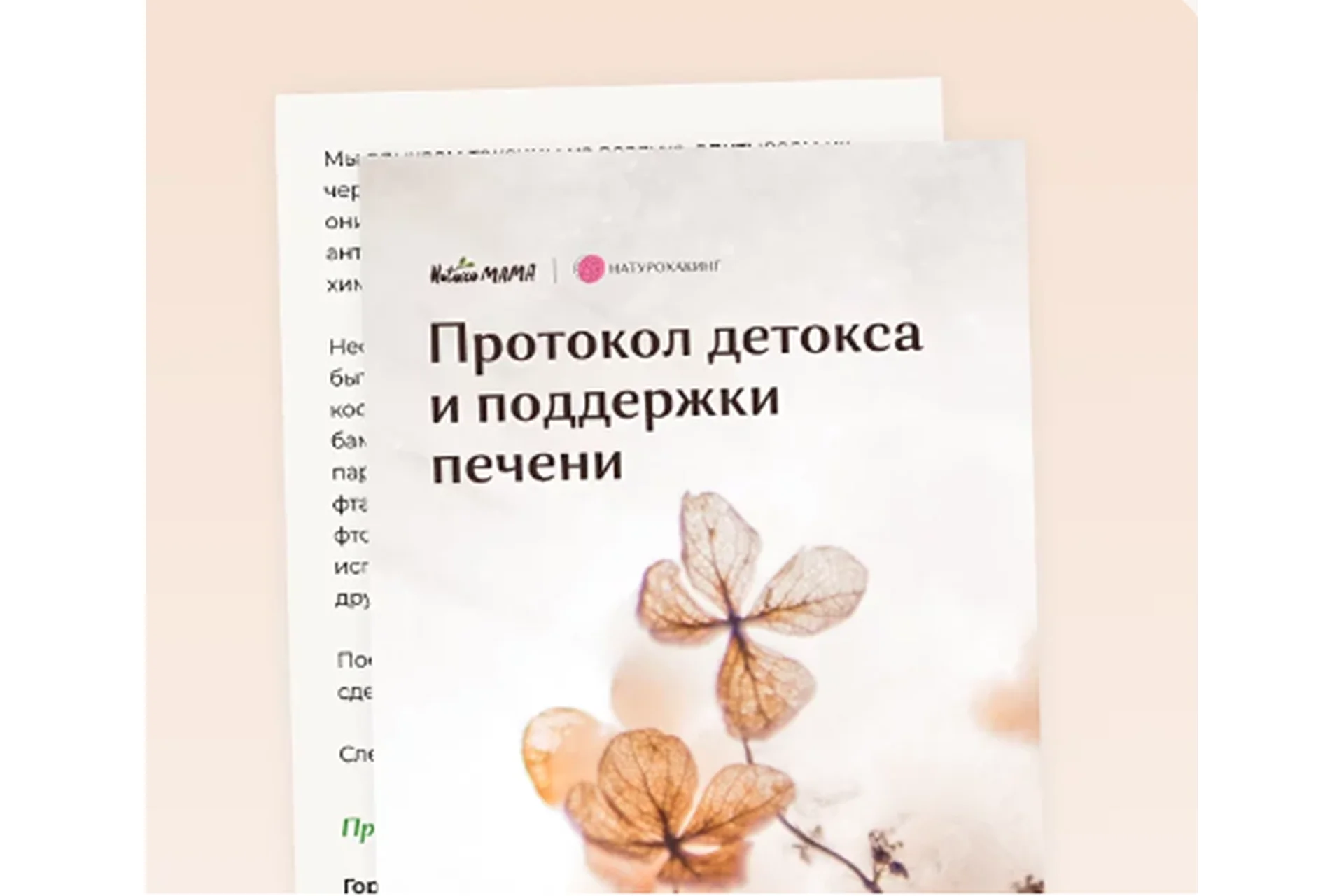 Рекомендации для детокса и поддержки печени (Вероника Хуснутдинова), фото 1 из 1.