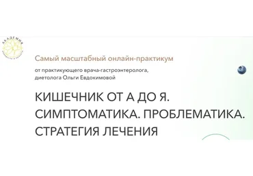 Кишечник от А до Я. Симптоматика. Проблематика. Стратегия лечения. Тариф Экспресс (Ольга Евдокимова)