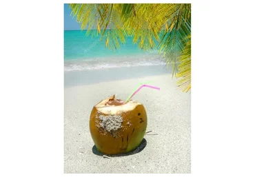 Энергетическая настройка «Карибский кокос» (Лавиния Сина Шедрей)