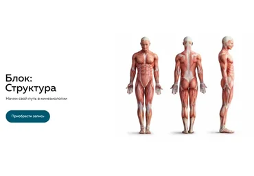 Блок: Структура (Григорий Крутов)