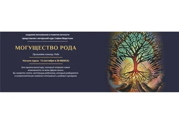 [NeSo Akademie] Могущество рода. Платина (София Вюрстлин)