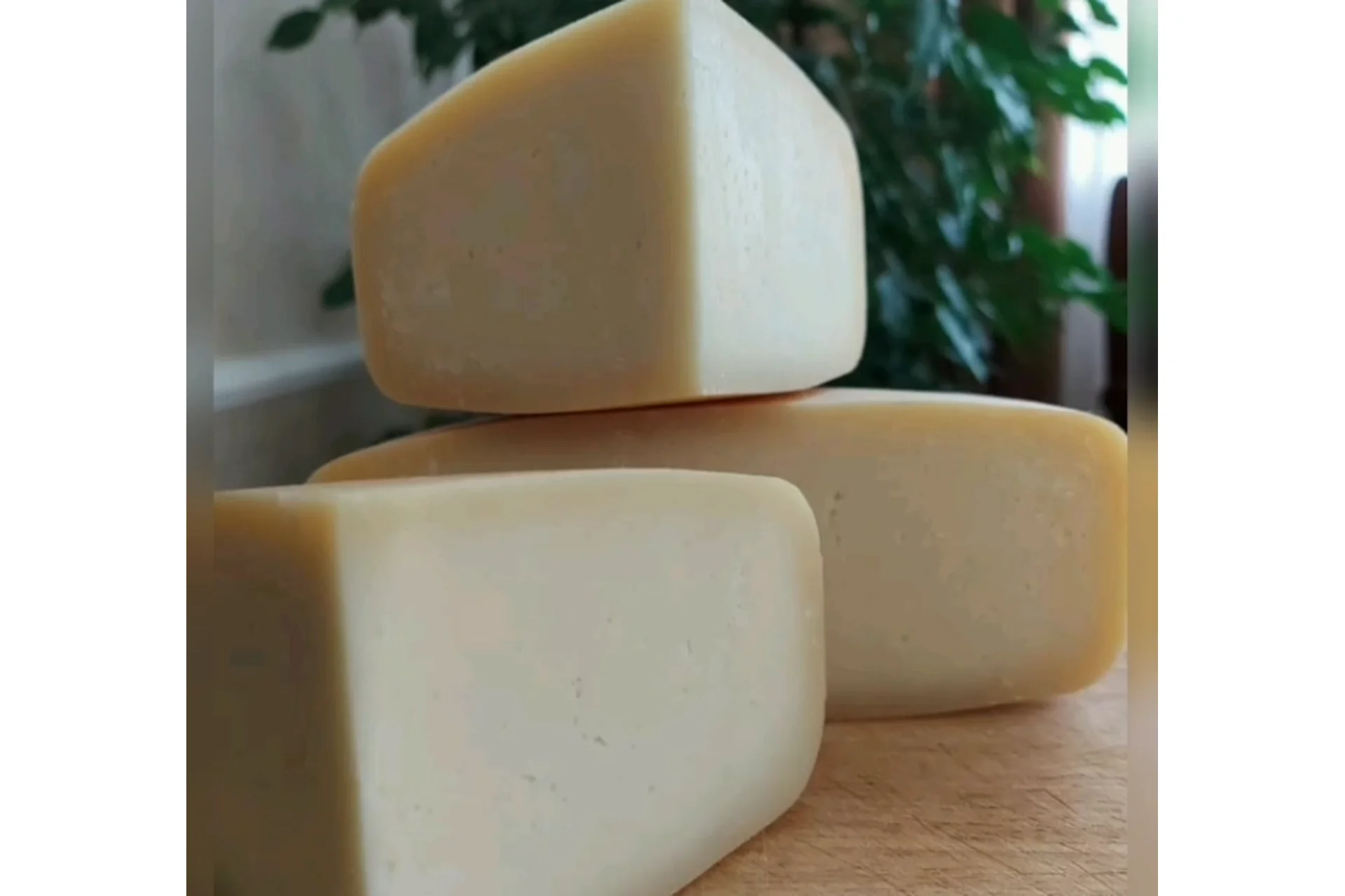 Российско-голландская группа сыров (Марина Каманина), фото 1 из 1.