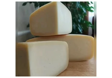 Российско-голландская группа сыров (Марина Каманина)